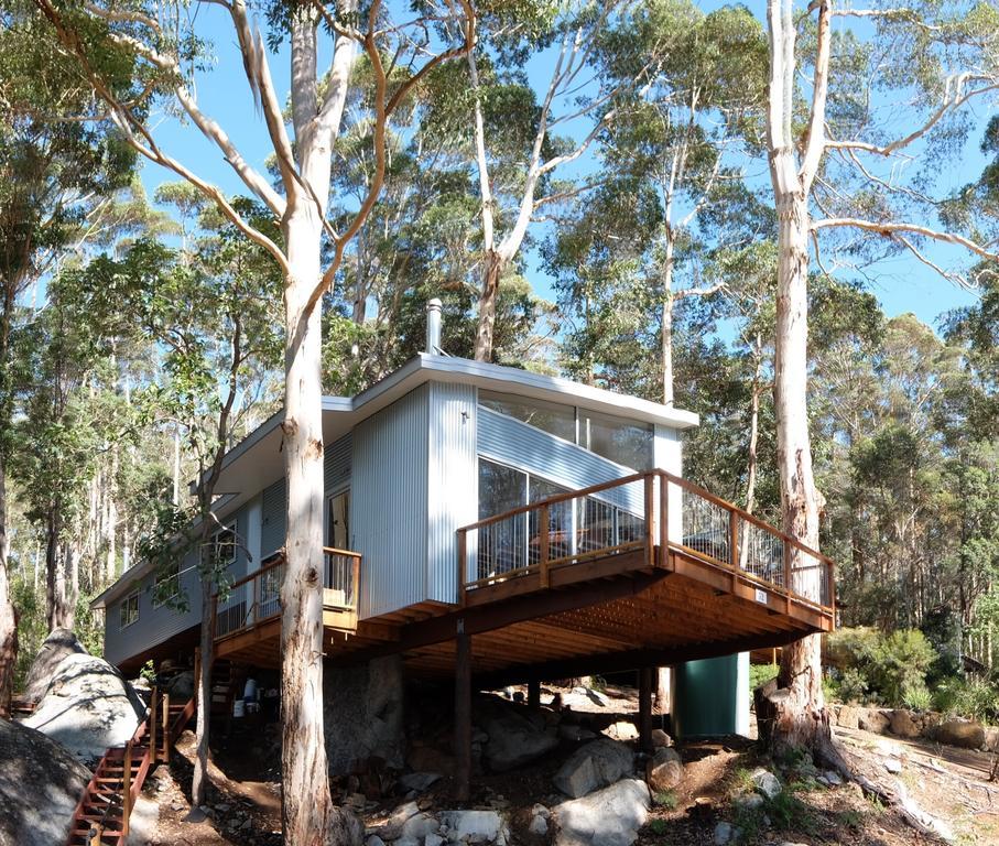 The Tree House Villa Denmark Dış mekan fotoğraf